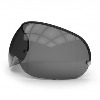 Goggle Master Pantalla GM Corta