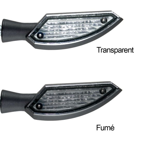 Chaft Magister Negro