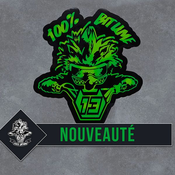 Accesorios Moto  100% Bitume 2 Stickers Niglo 9 x 8.5 cm Green