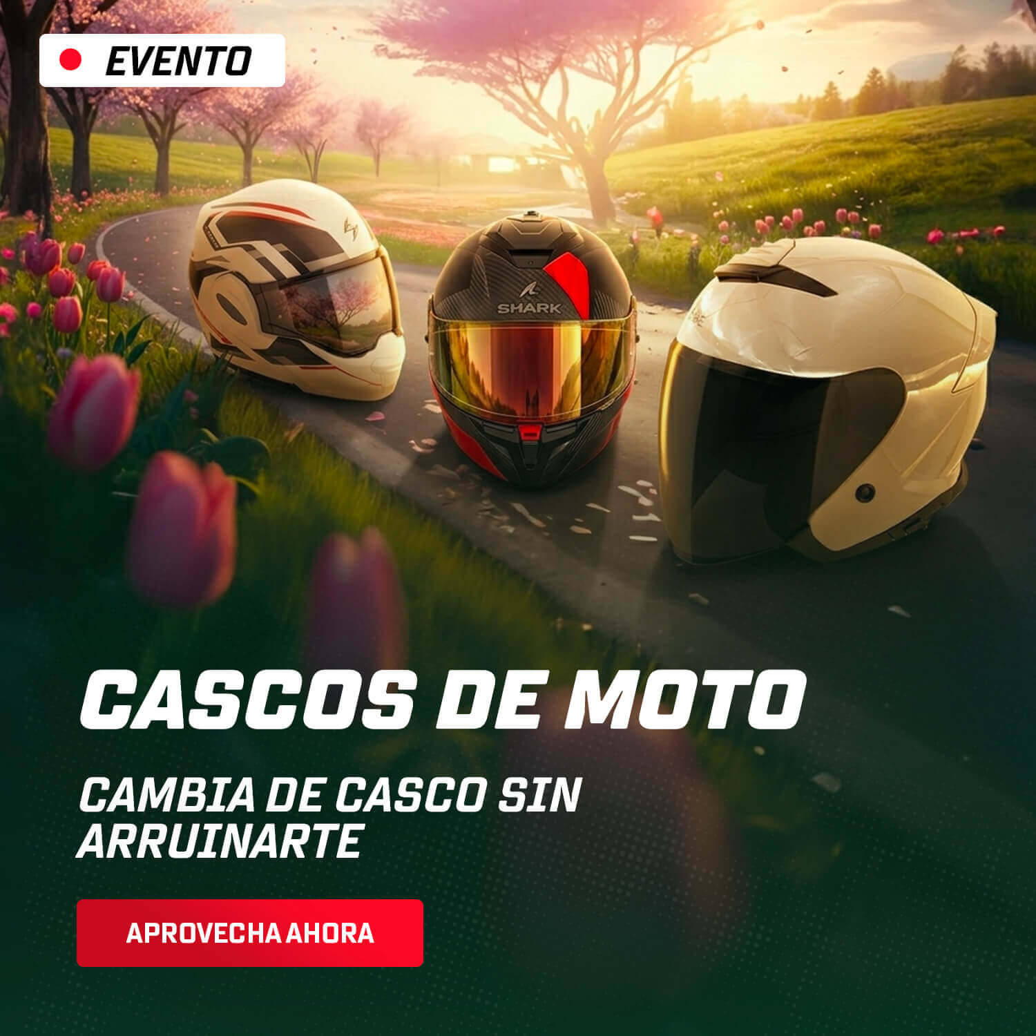Cascos de moto