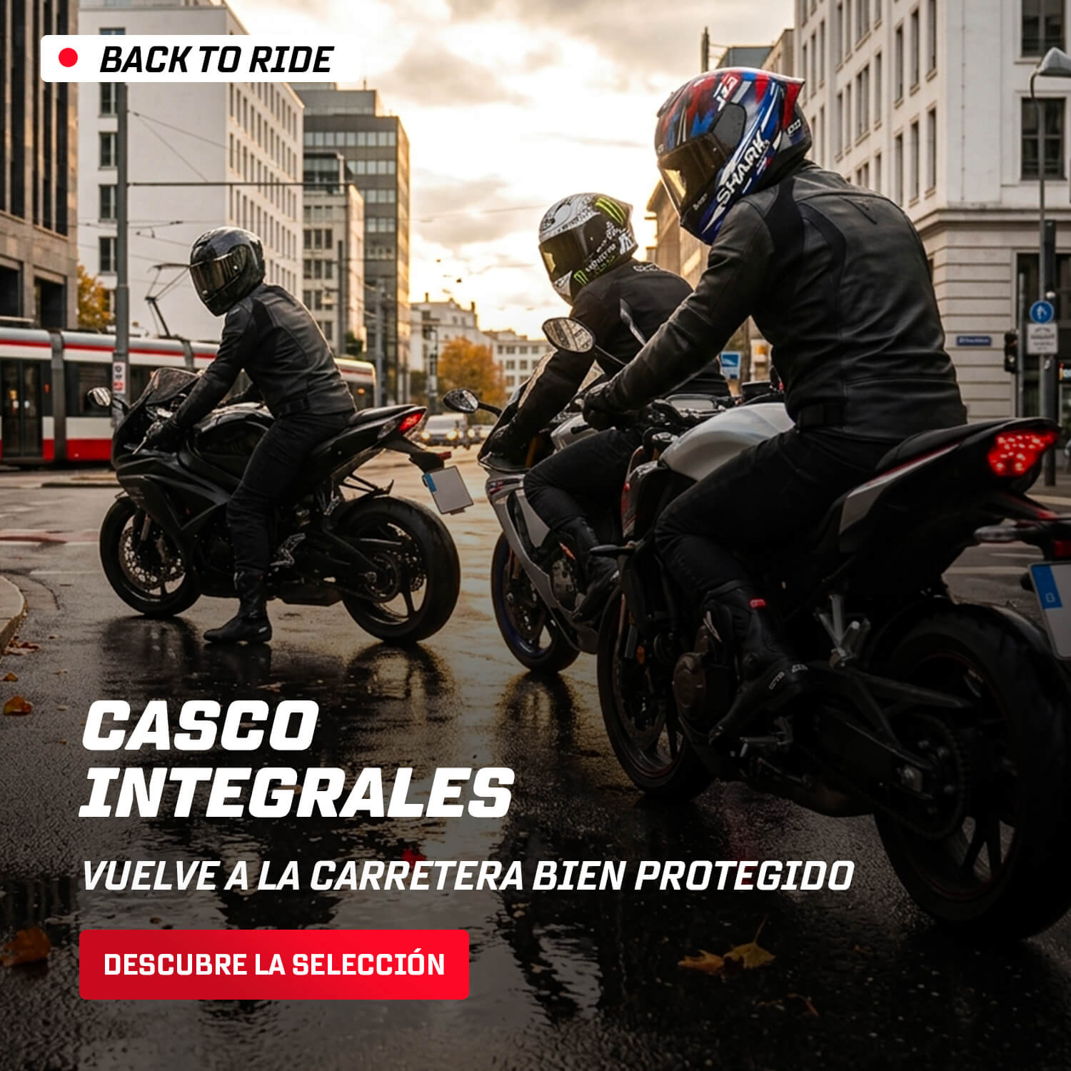 Cascos integrales