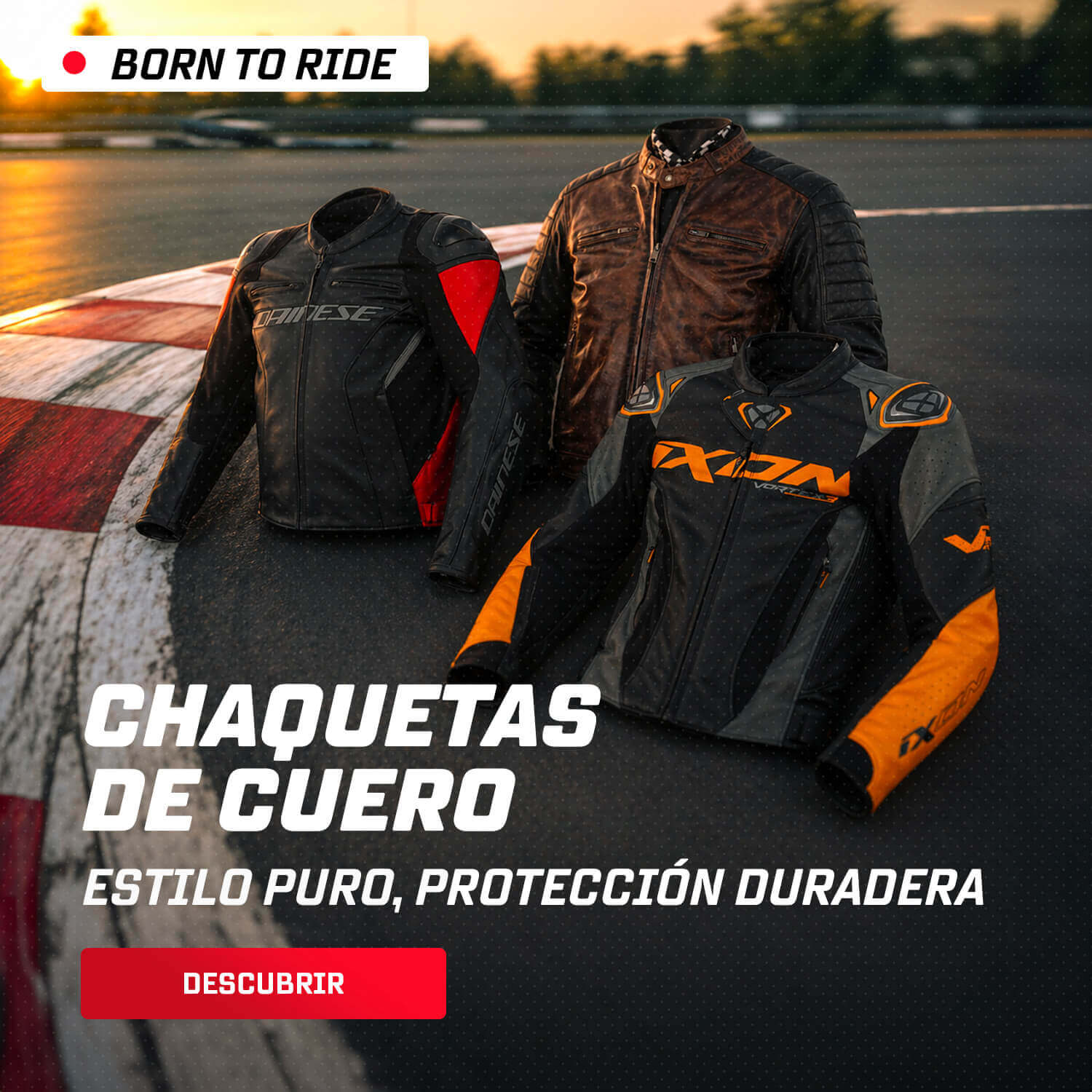 Chaquetas de cuero
