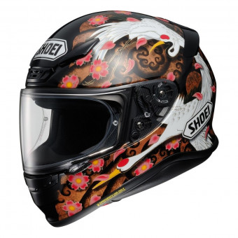 Integral Shoei NXR Transcend TC10