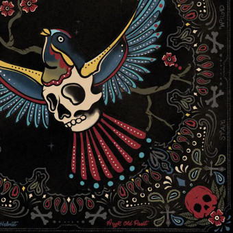 Dmd Tubo Magic Swallow