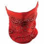 Braga Moto Zanheadgear Red Paisley