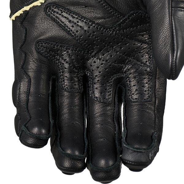 Five Daytona Negro