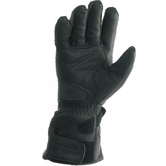 Bering Focal Negro