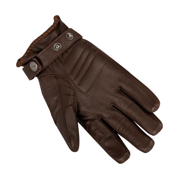 Segura Cassidy Brown