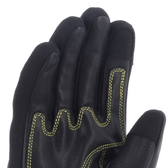 Von Dutch Palavas Air Oro Negro Leo
