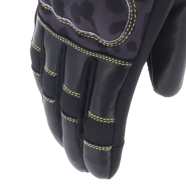 Von Dutch Palavas Air Oro Negro Leo