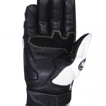 V'Quattro Spider Evo Negro Blanco