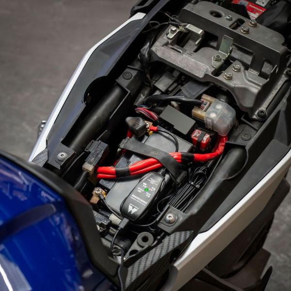 Midland Enercharge - Cargador de batera de moto